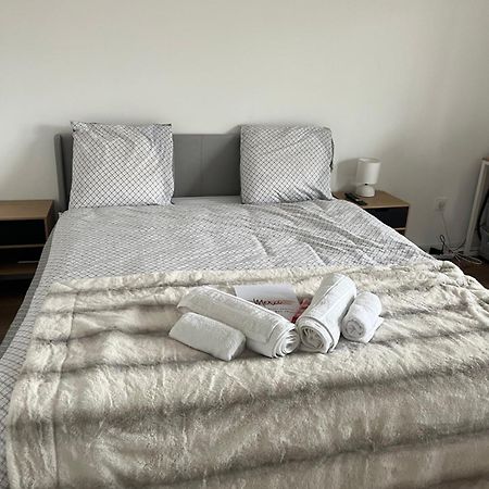 Appartement Luxueux Au Coeur De Lille Dış mekan fotoğraf