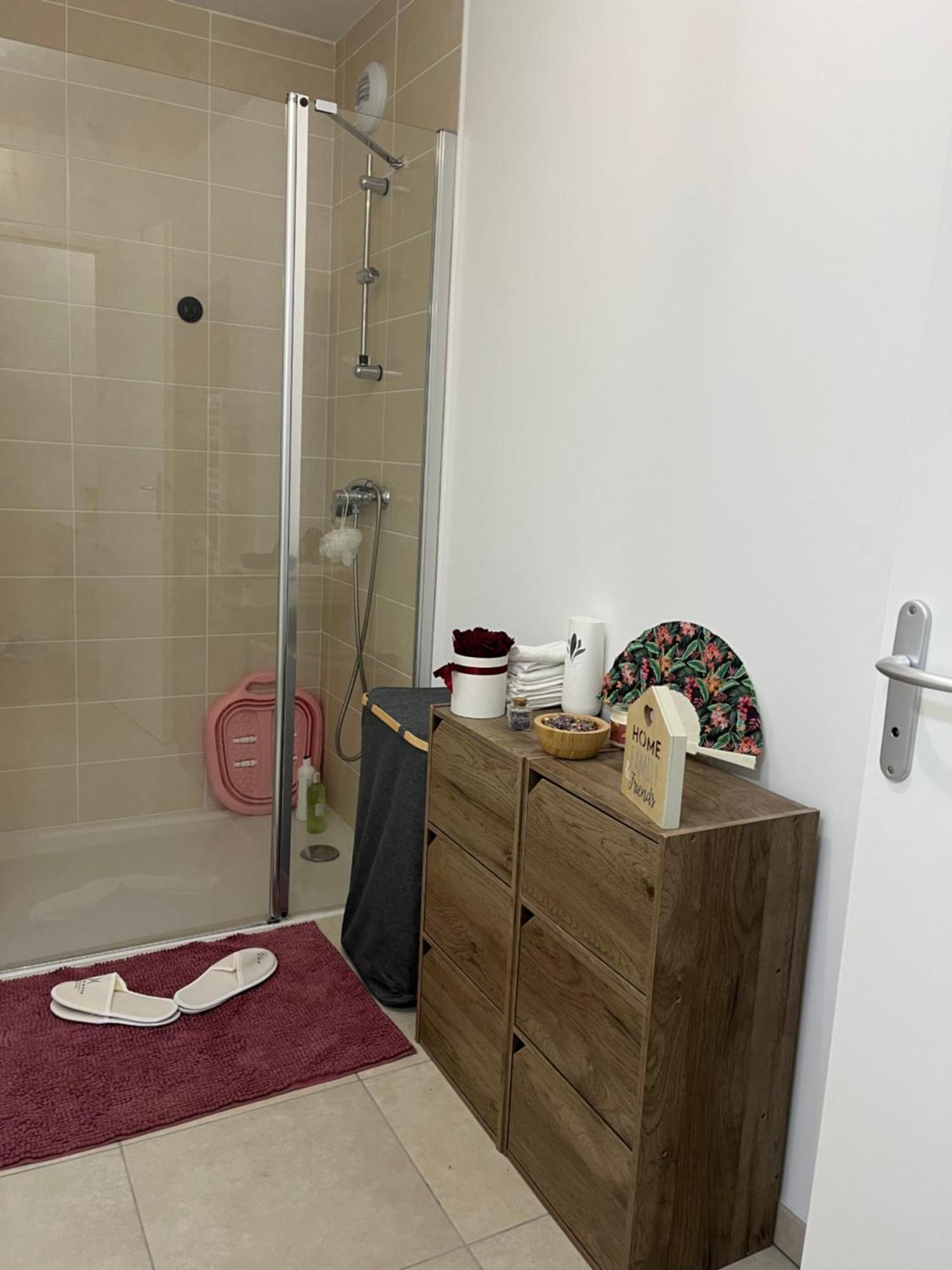 Appartement Luxueux Au Coeur De Lille Dış mekan fotoğraf